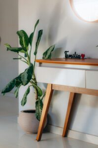 Stylish interior with plant and wooden console table, cozy yet modern.